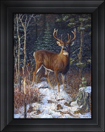 Framed Last Light Print