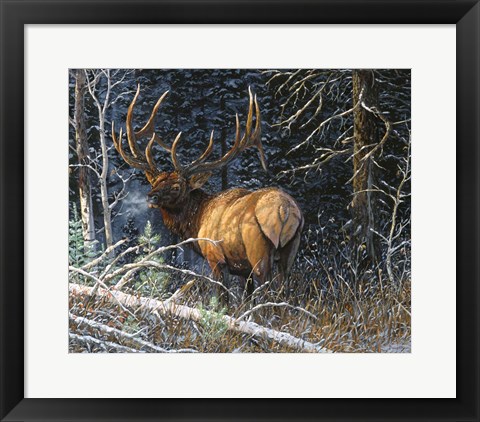 Framed Legacy Bull Print