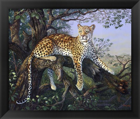 Framed Leopard&#39;s Domain Print