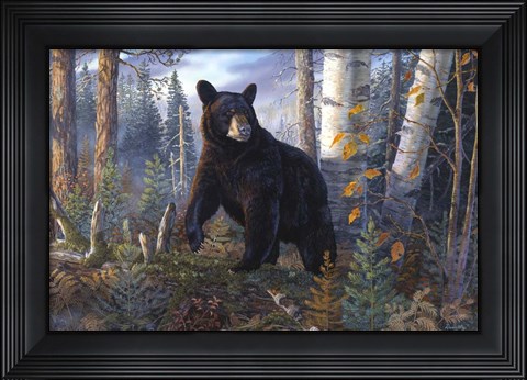 Framed Lord Of The Timberline Print