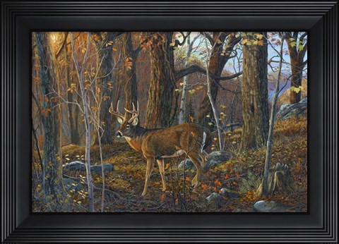 Framed Lost Valley Buck Print