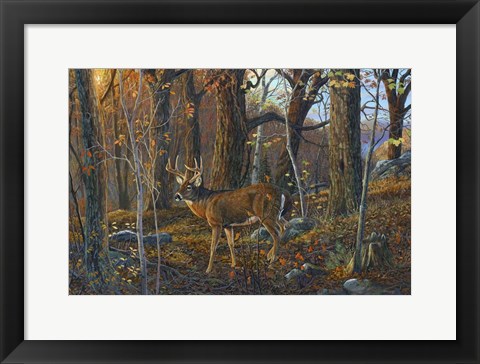 Framed Lost Valley Buck Print