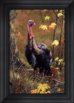 Framed Mister Majestic Print