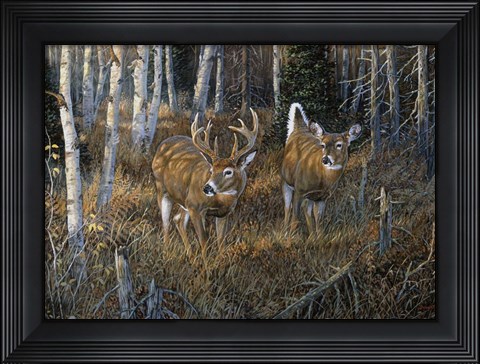 Framed November Instinct Print