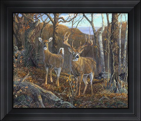 Framed Oak Ridge Trophy Print