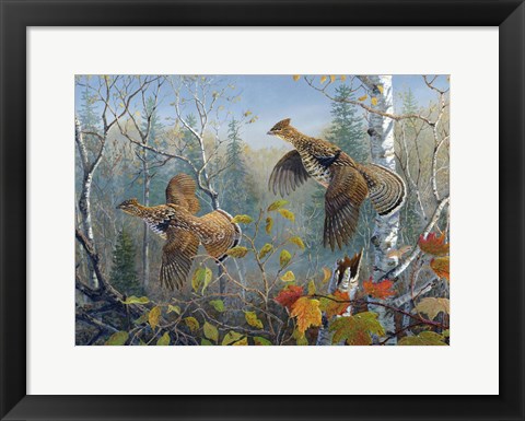 Framed October Wings Print