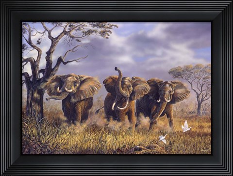 Framed On African Winds Print
