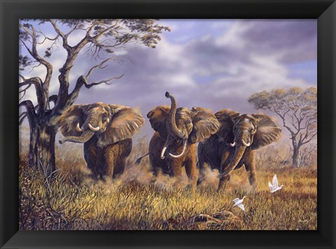 Framed On African Winds Print