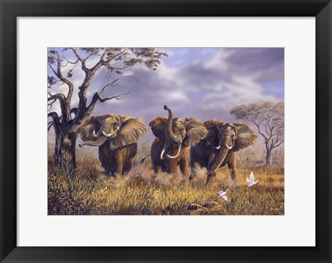 Framed On African Winds Print