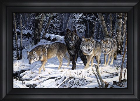 Framed On The Night Trail Print