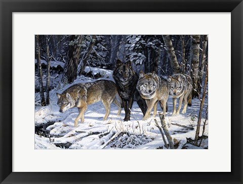 Framed On The Night Trail Print