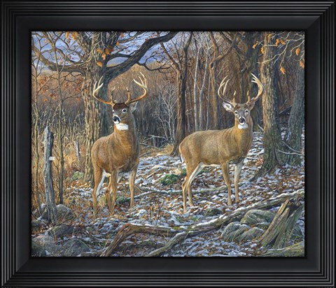 Framed Pair Of Eights Print
