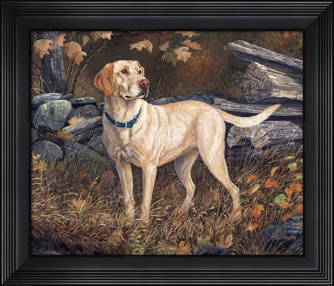 Framed Ready To Go Print