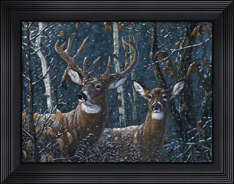 Framed Snowflake Print