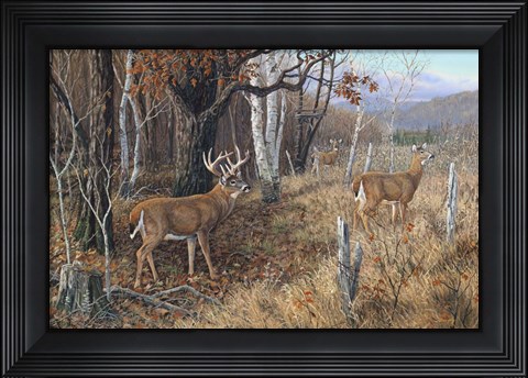 Framed Something On The Wind Print