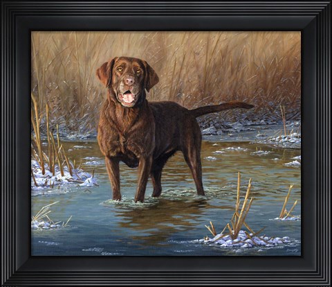Framed Top Dog Print