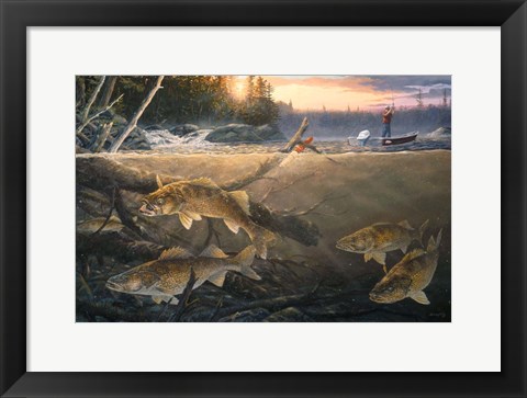 Framed Walleye In The Wood Print