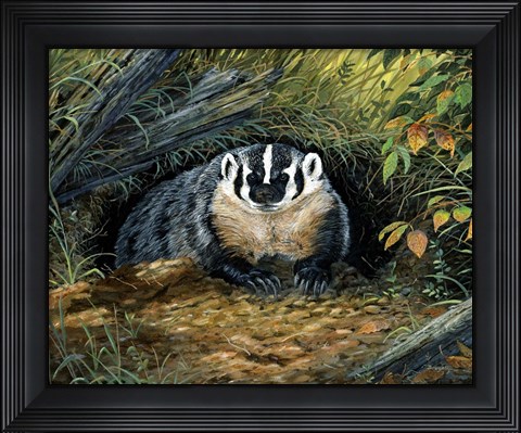 Framed Wisconsin Badger Print