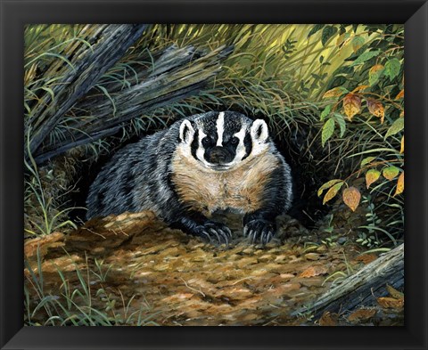 Framed Wisconsin Badger Print