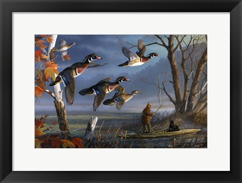 Framed Woodies On The Wing Print