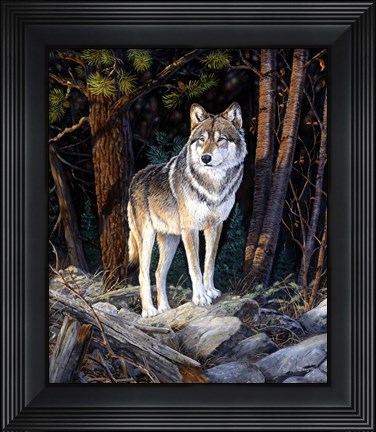 Framed Solitary Sentinel Print