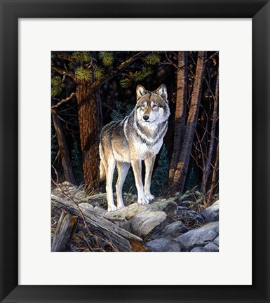 Framed Solitary Sentinel Print