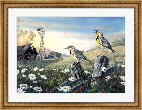 Framed Meadow Outpost Print
