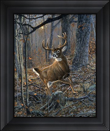 Framed Buck Fever Print