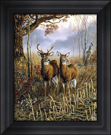 Framed Country Treasures Print