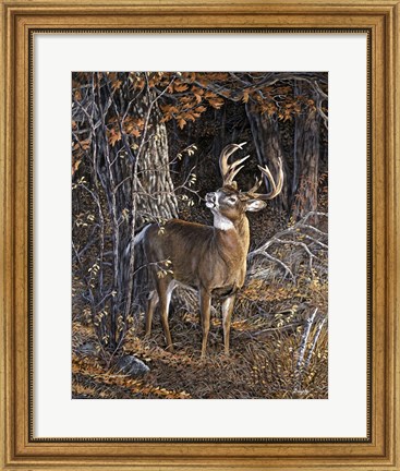 Framed Deer Nibble Print