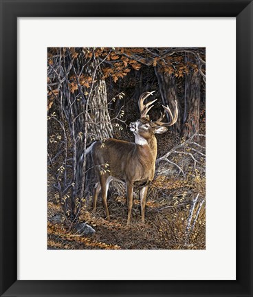 Framed Deer Nibble Print