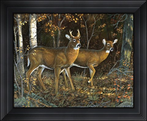 Framed October Shadows Print