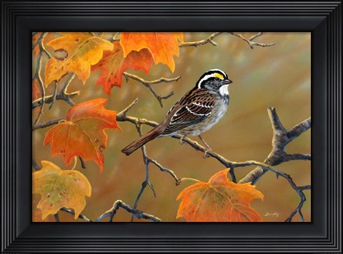 Framed Whitethroated Sparrow Print