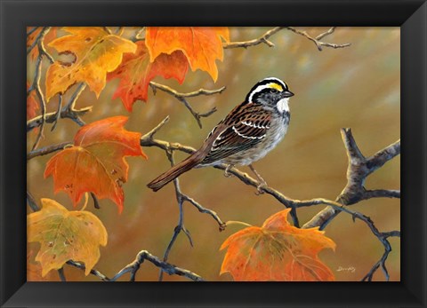 Framed Whitethroated Sparrow Print