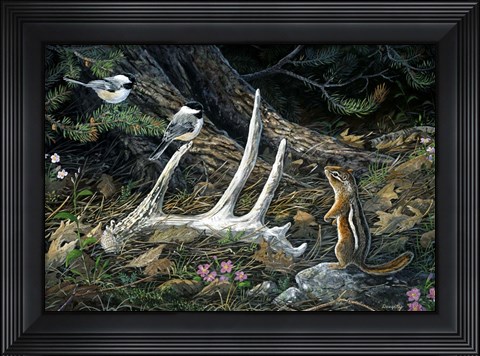 Framed Woodland Treasures Print