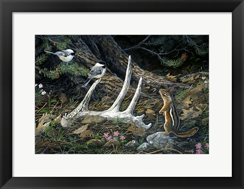 Framed Woodland Treasures Print