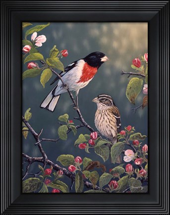 Framed Apple Blossom Time Print