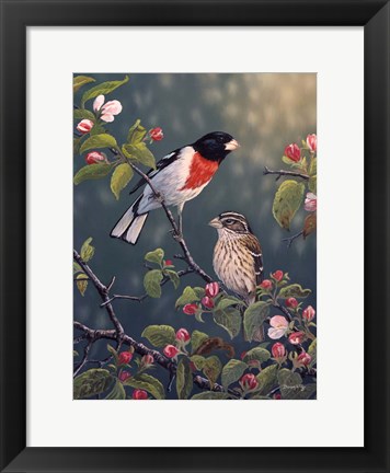 Framed Apple Blossom Time Print