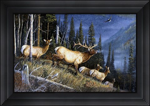 Framed Eagle Mountain Print
