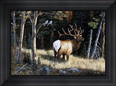 Framed Elk Print
