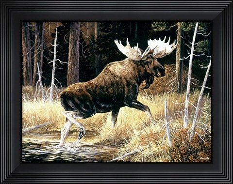 Framed Moose Print