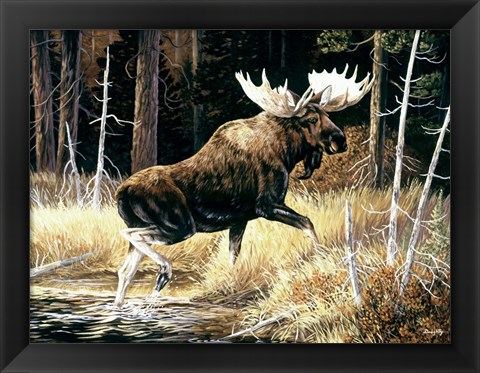 Framed Moose Print