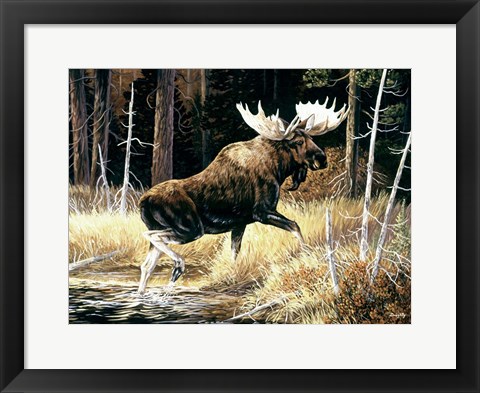 Framed Moose Print