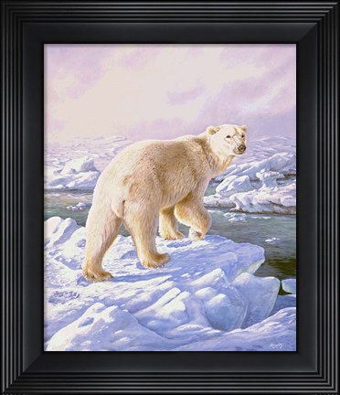 Framed Polar Bear Print