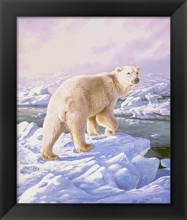 Framed Polar Bear Print