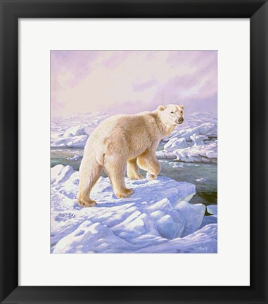 Framed Polar Bear Print