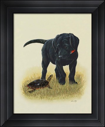 Framed Speed Zone Print
