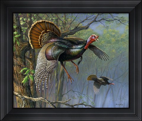 Framed Down From The Roost Print