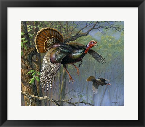 Framed Down From The Roost Print