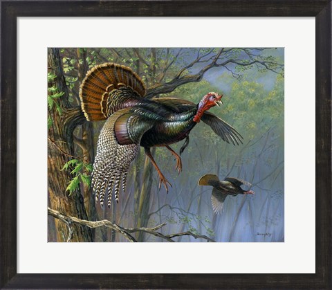 Framed Down From The Roost Print
